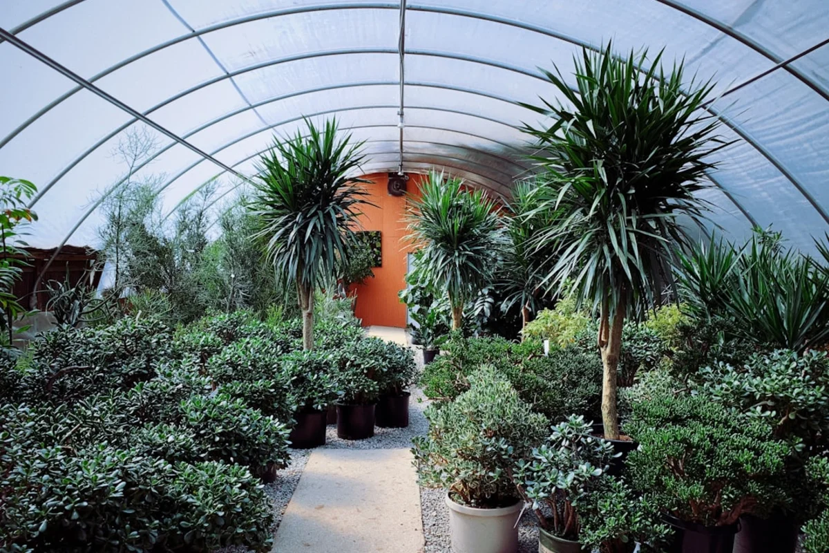 Modern greenhouse interior with thriving plants and organized growing systems
