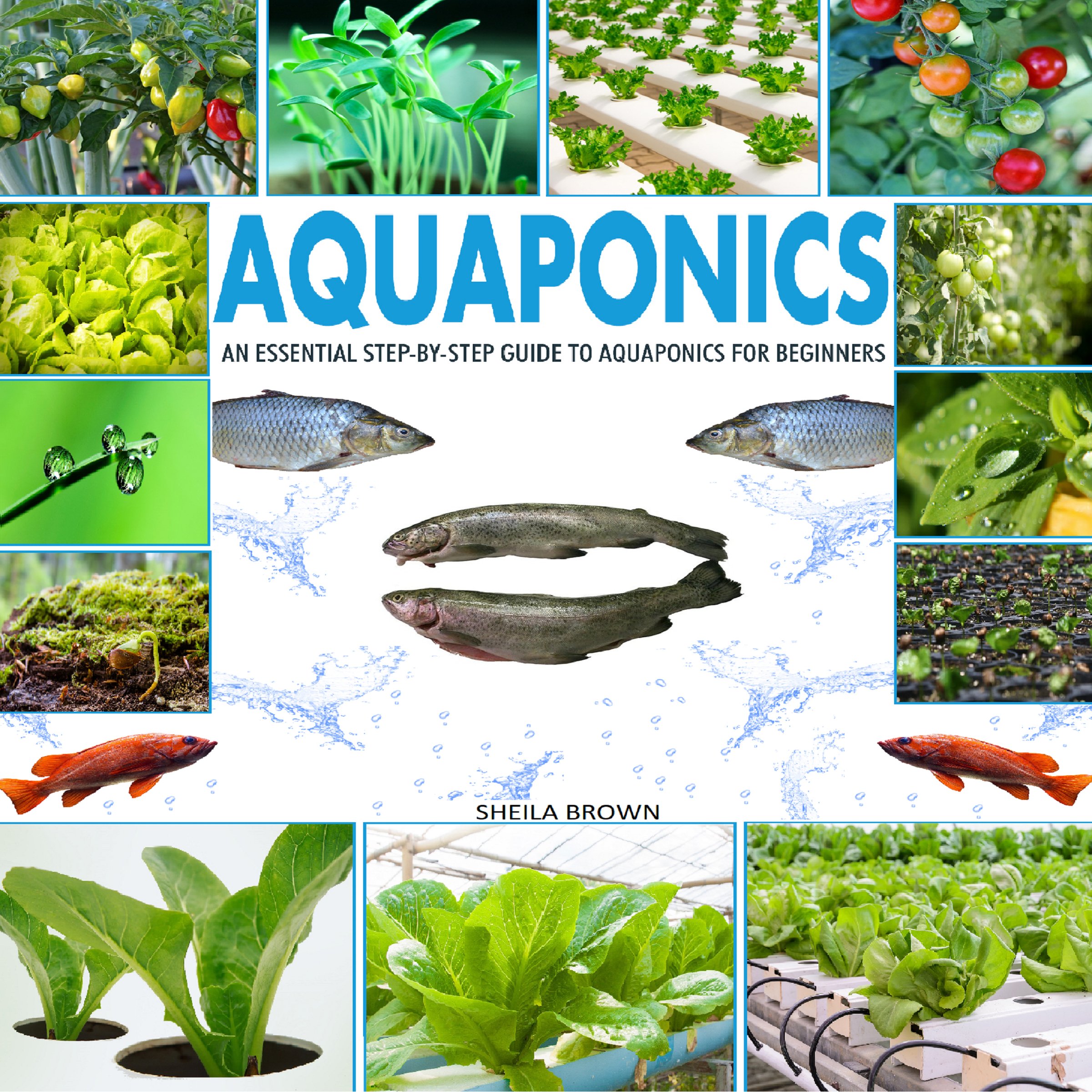 Aquaponics: An Essential Step-by-Step Guide to Aquaponics for Beginners