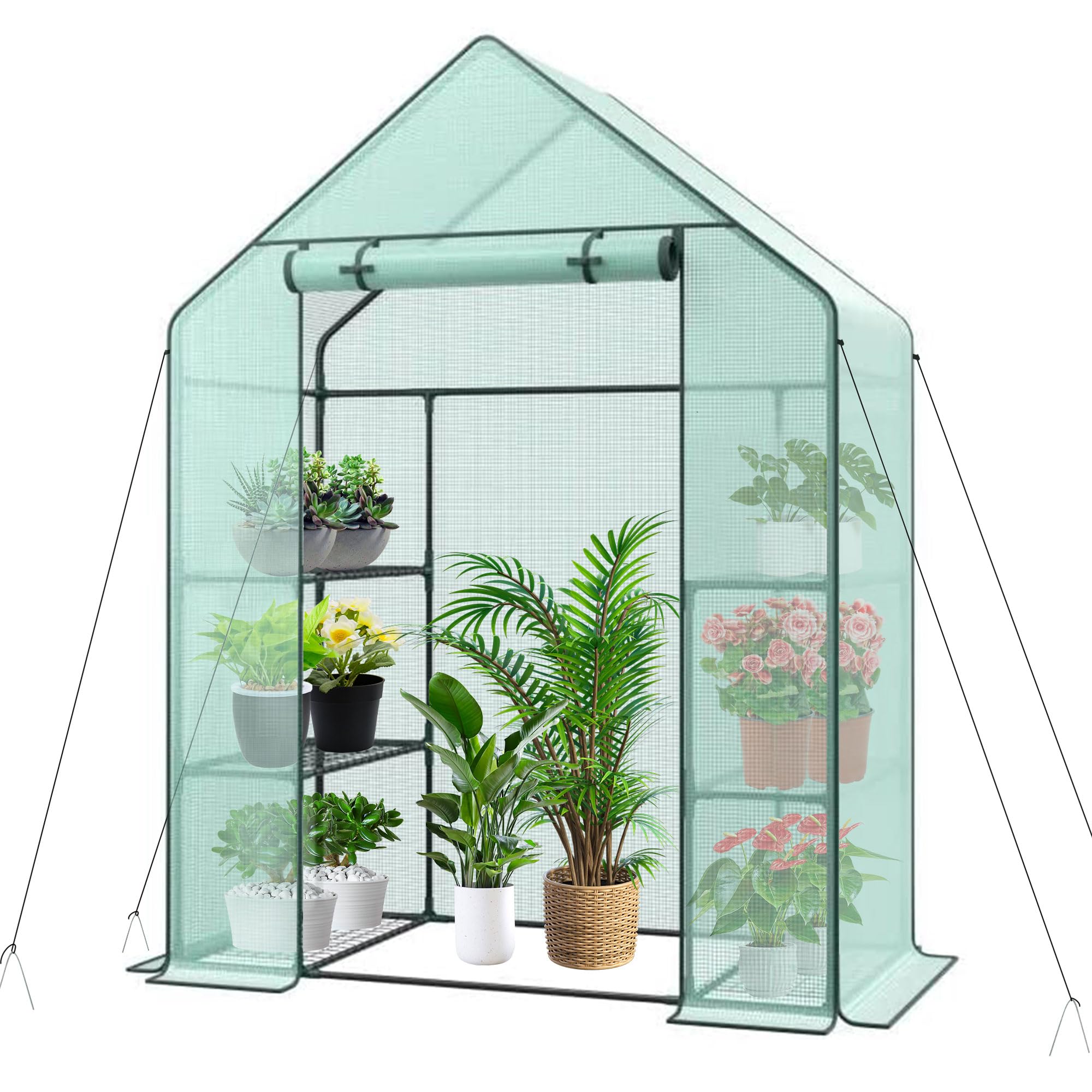 3 Tier 6 Shelves Mini Walk-in Greenhouse, 55.9 x 28.3 x 75.59 inch, Durable PE Cover Green House Kit with Anchors and Ropes, Outdoor Plant Gardening Hot House for Growing Vegetables, Flowers