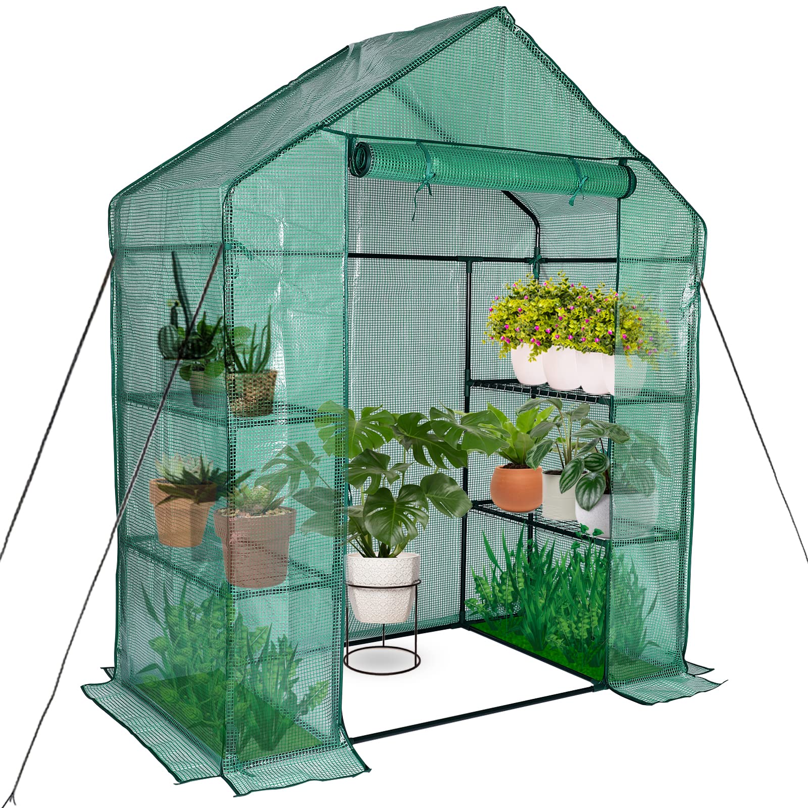 Mini Greenhouse,Greenhouses for Outdoors,Portable Walk in Green House for Garden Plants That Need Frost Protection and Away from Pests, Animals(56"x30"x76")-Green