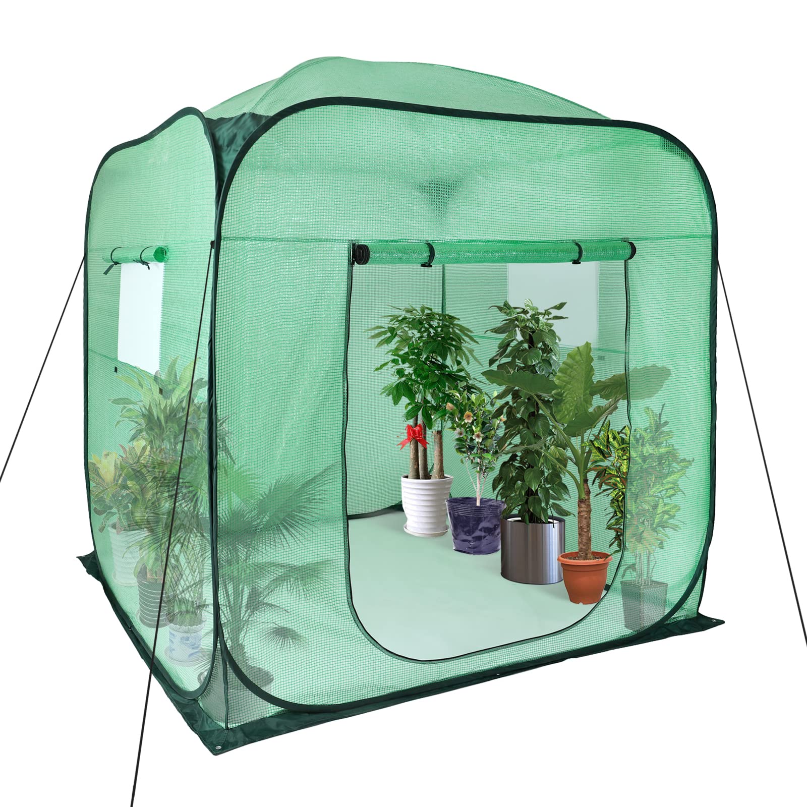 Upgraded Pop-Up Plant Greenhouse for Outdoors with Roll-up Zipper Entry Doors and Windows, Durable PE Cover, Walk-in and Portable Fast Set-up Green House with Ground Pegs & Ropes