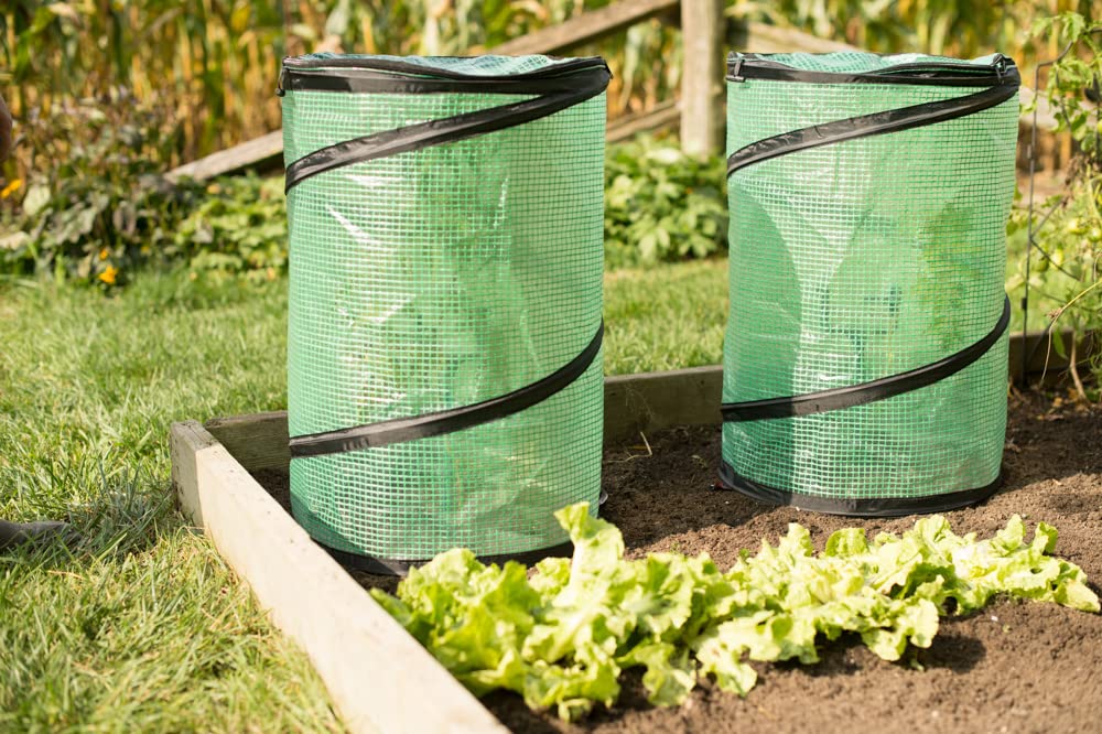 NuVue Products 24246 Pop-Up Plant Growth Accelerator Greenhouse Covers, Mini Greenhouse Gardening Nets for Severe Weather Protection, Pack of 2, Green, 24" x 16.5"