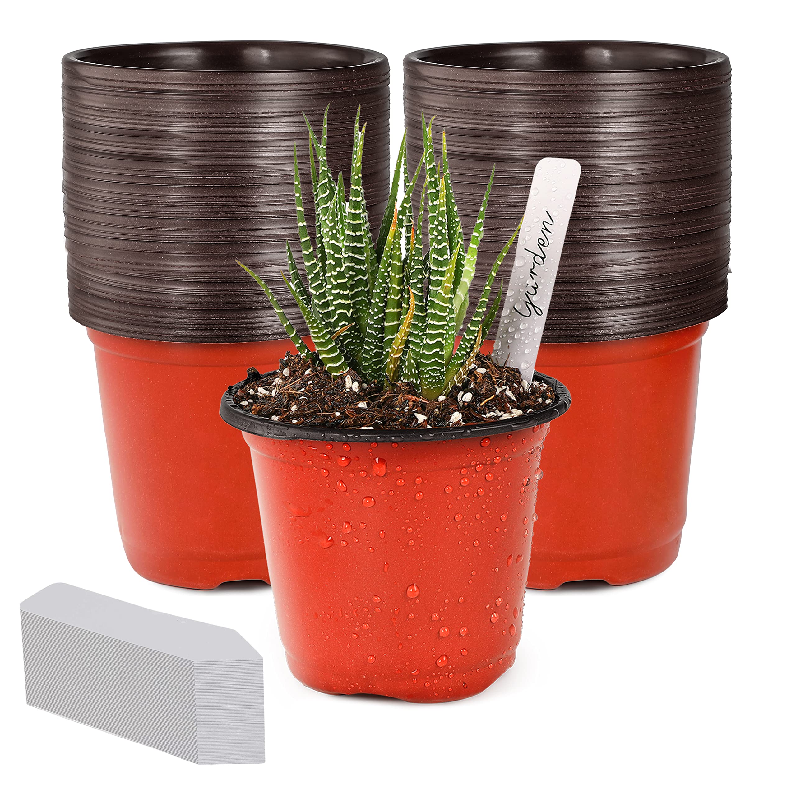 TDHDIKE 4" Small Plastic Plant Nursery Pot/Pots (100pcs Pots and 100pcs Plant Labels) Seedlings Flower Plant Container (Red) Seed Starting Pots Indoor Outdoor