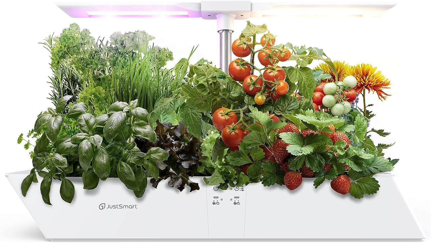 12 Pods Hydroponics Growing System Indoor Garden, Special Boat-Shaped Design White Herb Garden Kit with 24W 5 Color Full Spectrum LED Grow Light, Dual Street Light Boards with 3 Timing Modes