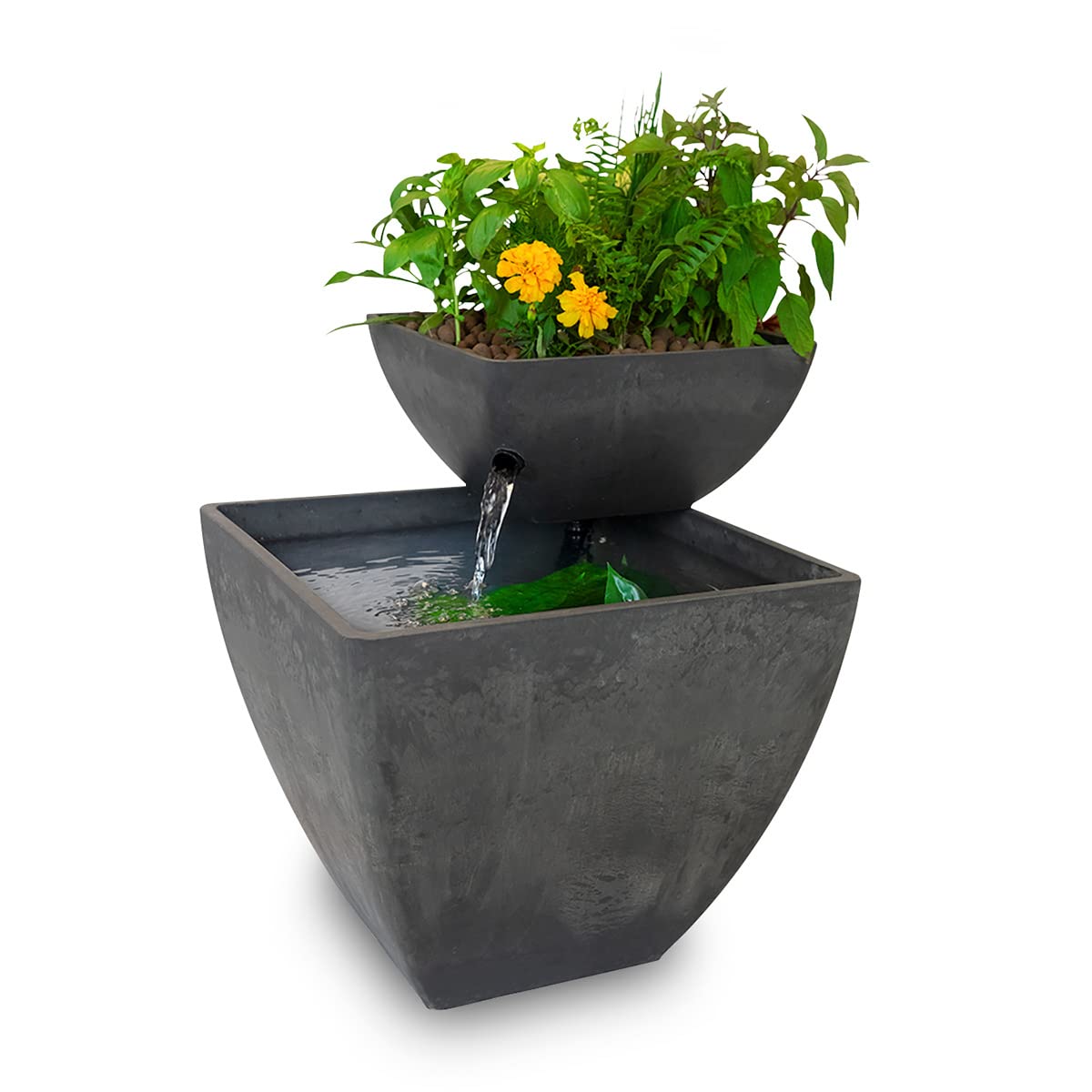 AquaSprouts Fountain: Hydroponic, Aquaponic, Water Garden Kit, Charcoal, 8 Gallons