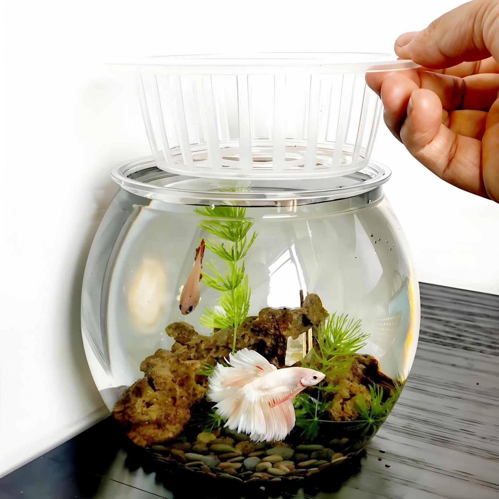 Aquaponic Betta Fish Tank, 0.6 Gallon High Clear Plastic Aquarium, Round Small Fish Tank - Ideal Aquaponics Growing System Fish Tank