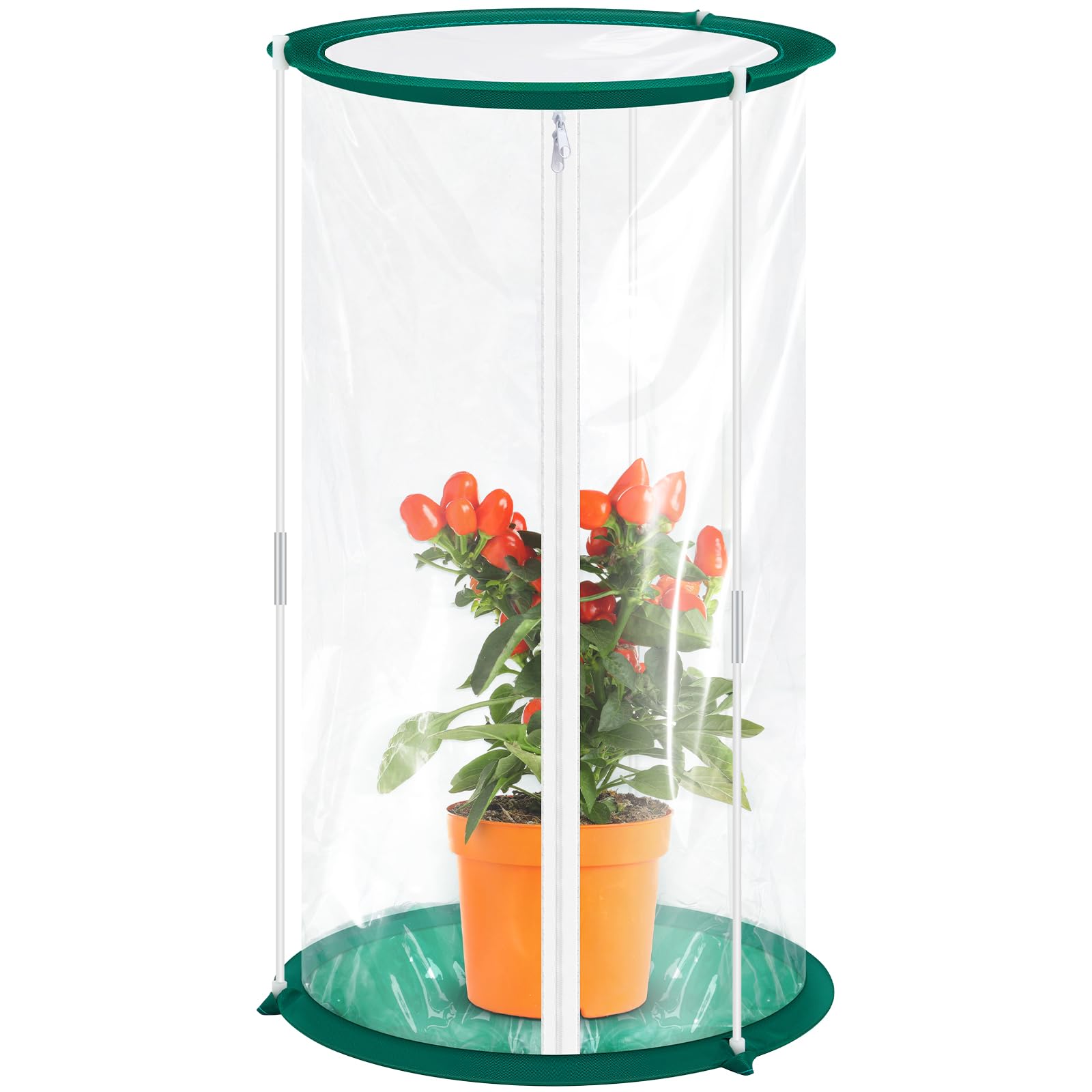 Nuanchu 1 Piece Mini Greenhouse 19.7 x 10.2 Inch Portable Plant Flowers Mini Greenhouse Cover PVC Clear Greenhouse for Indoor Outdoor Gardening